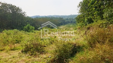 For Sale Tanah Premium di Karanganyar, Karanganyar, LT 16391m²