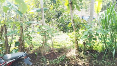 Disewakan Tanah Strategis di Ungaran Timur, Semarang, Lokasi Prime