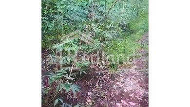 Dijual Tanah Eksklusif di Salatiga, Salatiga, LT 3764m²