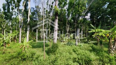 Kavling Prestisius Dijual di Mijen, Semarang, Harga 11 Miliar