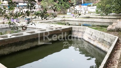 Kolam Budidaya Ikan Di Hasan Munadi , Ungaran Wn 4861