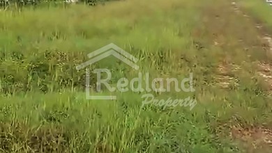 Tanah Elit Dijual di Dempet, Demak, Harga 8,19 Triliun