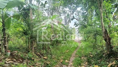 Tanah Ideal untuk Hunian di Tembalang, Semarang, Luas 240m²