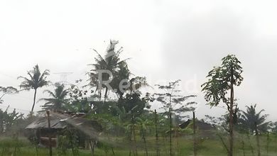 Tanah Ideal untuk Hunian di Bergas, Semarang, Luas 462m²