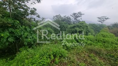 Tanah Nyaman untuk Hunian di Ungaran Timur, Semarang, Luas 1595m²