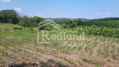 Tanah Elit Dijual di Gunung Pati, Semarang, Harga 168 Miliar