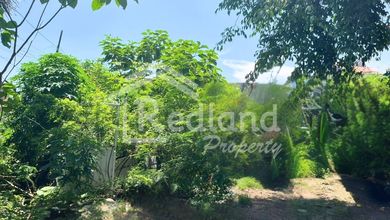 Kavling Sewa Harga Ekonomis di Semarang Selatan, Semarang