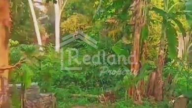 Tanah di Letjen Suprapto , Ungaran Vn 7308