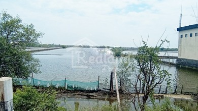 For Sale Tanah Eksklusif di Kendal, Kendal, LT 8852m²