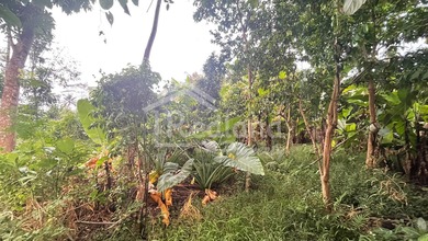 Tanah Komersial Dekat Jalan Raya Area Mijen