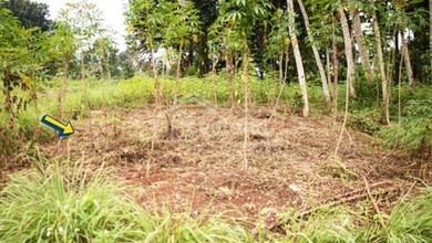 Kavling Prestisius Dijual di Ngaliyan, Semarang, Harga 60,5 Miliar