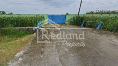 Disewakan Tanah Premium di Karangawen, Demak, LT 25000m²