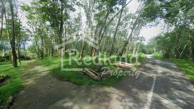 Tanah di Desa Kedungboto , Limbangan Kendal ( Tt 8908 )