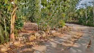 For Sale Tanah Premium di Karangmojo, Gunung Kidul, LT 914m²