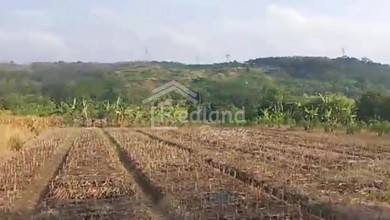For Sale Tanah Eksklusif di Gringsing, Batang, LT 300000m²
