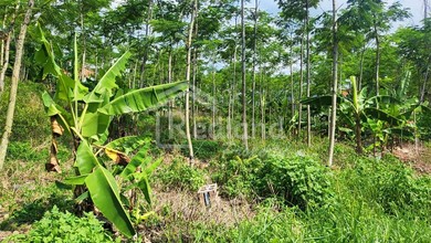 For Sale Tanah Premium di Gajah Mungkur, Semarang, LT 2500m²