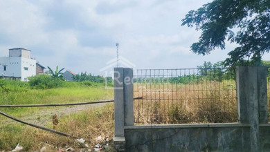 Disewakan Tanah Strategis di Brangsong, Kendal, Lokasi Prime