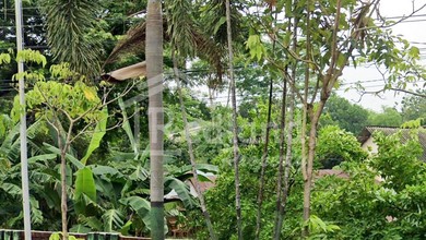 Tanah Elit Dijual di Jepara, Jepara, Harga 12,5 Miliar