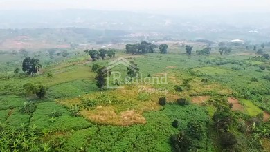 Kavling Prestisius Dijual di Citeureup, Bogor, Harga 34,3 Miliar