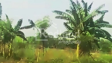 Tanah Elit Dijual di Tugurejo, Semarang, Harga 62,5 Miliar