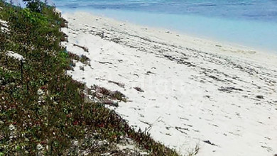 For Sale Tanah Eksklusif di Kodi, Sumba Barat Daya, LT 41020m²