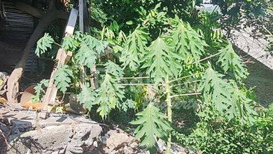 Dijual Tanah Eksklusif di Banyumanik, Semarang, LT 153m²