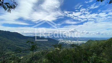 Tanah View Cocok untuk Resort di Sepakung, Banyubiru (Si 8664)