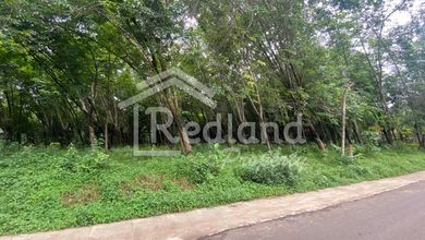 Dijual Tanah Premium di Banyuputih, Batang, LT 33000m²