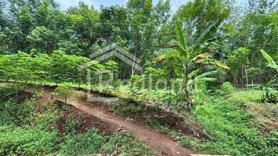 Tanah Elit Dijual di Tersono, Batang, Harga 180 Miliar