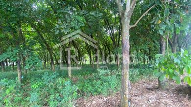 Tanah Elit Dijual di Gringsing, Batang, Harga 26 Miliar