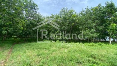 Dijual Tanah Premium di Gringsing, Batang, LT 63000m²