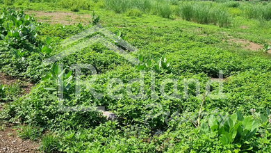 Tanah Tidak Terpakai Pinggir Jalan 25135 m2 Siap Disewa