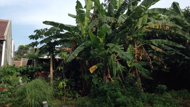 Tanah Prospektif di Area Puri Anjasmoro, Semarang, LT 360m²