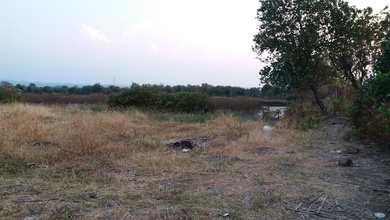 For Sale Tanah Eksklusif di Ampel, Boyolali, LT 200000m²