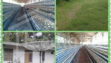 Dijual Tanah di Lokasi Premium Ungaran, Semarang, Harga 1,1 Miliar