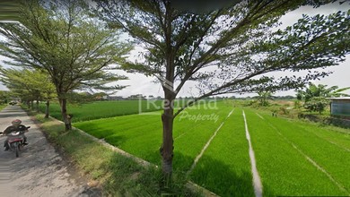 Dijual Tanah Eksklusif di Sukoharjo, Sukoharjo, LT 9791m²