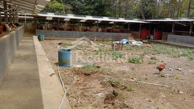 For Sale Tanah Premium di Kopeng, Salatiga, LT 19000m²